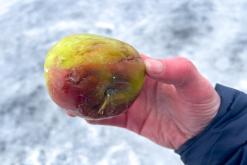 Mývatn - Prodloužený víkend po Islandu (únor 2024)