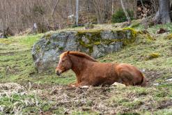 Saint-Gervais-les-Bains - Prodloužený víkend v Alpách (duben 2024)