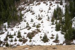 Tour du Mont Blanc - Prodloužený víkend v Alpách (duben 2024)