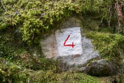 Tour du Mont Blanc - Prodloužený víkend v Alpách (duben 2024)