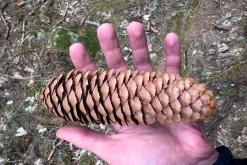 Tour du Mont Blanc - Prodloužený víkend v Alpách (duben 2024)