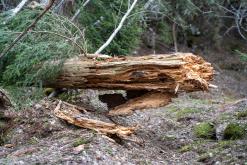 Tour du Mont Blanc - Prodloužený víkend v Alpách (duben 2024)