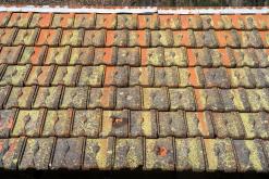 Tour du Mont Blanc - Prodloužený víkend v Alpách (duben 2024)