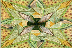 pastelková kresba formátu A2