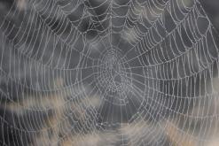 Tiské skály - září 2014