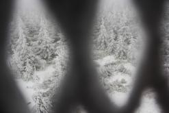 Smrk, Jizerské hory (5.12.2014)