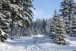 Krkonoše - prosinec 2014