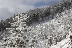 Krkonoše - prosinec 2014