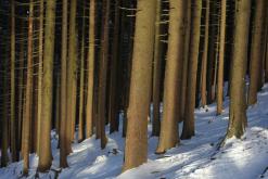 Krkonoše - prosinec 2014