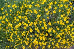 Mys Greko - Prodloužený víkend po Kypru (březen 2024)