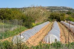 Mys Greko - Prodloužený víkend po Kypru (březen 2024)