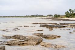 Ayia Thekla - Prodloužený víkend po Kypru (březen 2024)