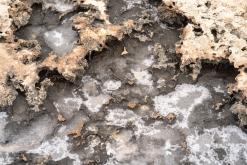 Ayia Thekla - Prodloužený víkend po Kypru (březen 2024)