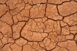 Xylophagou - Prodloužený víkend po Kypru (březen 2024)