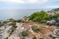 Xylophagou - Prodloužený víkend po Kypru (březen 2024)