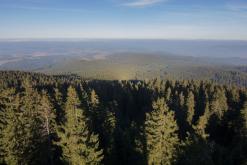 Šumava - Prodloužený víkend (říjen 2015)