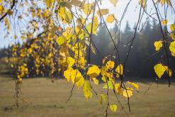 Šumava - Prodloužený víkend (říjen 2015)