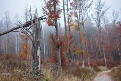 Šumava - Prodloužený víkend (říjen 2015)