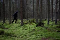 Šumava - Prodloužený víkend (říjen 2015)