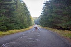 Šumava - Prodloužený víkend (říjen 2015)