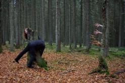 Kuk juk / směr k: Nové údolí, CHKO Šumava
