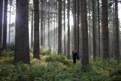 Šumava - Prodloužený víkend (říjen 2015)