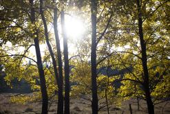 Šumava - Prodloužený víkend (říjen 2015)