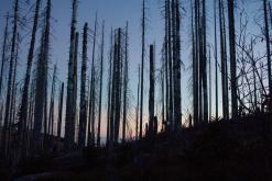 Šumava - Prodloužený víkend (říjen 2015)