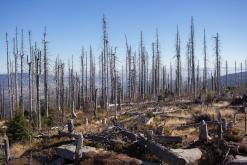 Šumava - Prodloužený víkend (říjen 2015)