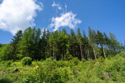 Radhošť, CHKO Beskydy - červen 2024