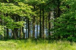 Radhošť, CHKO Beskydy - červen 2024