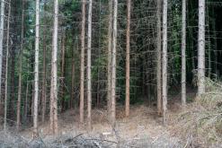 Radhošť, CHKO Beskydy - červen 2024