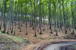 Radhošť, CHKO Beskydy - červen 2024