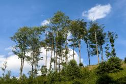 Frenštát pod Radhoštěm, CHKO Beskydy - červen 2024