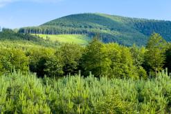 Frenštát pod Radhoštěm, CHKO Beskydy - červen 2024