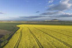 Zřícenina hradu Košťálov - duben 2024