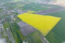 Zřícenina hradu Košťálov - duben 2024