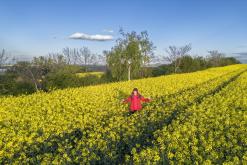 Zřícenina hradu Košťálov - duben 2024