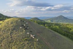 Zřícenina hradu Košťálov - 20.5.2024