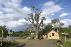 Žernosecké jezero - 23.7.2024