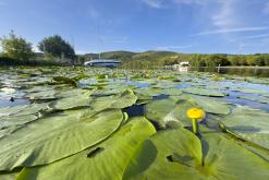 přívoz Malé Žernoseky