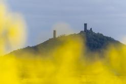 Zřícenina hradu Košťálov - duben 2024