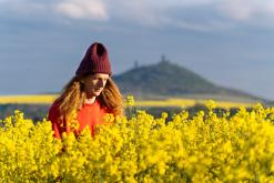 Zřícenina hradu Košťálov - duben 2024