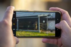 Zřícenina hradu Košťálov - 20.5.2024