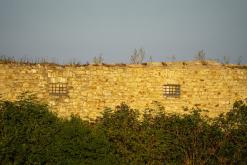 Třebenice - 27.8.2024