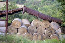 Třebenice - 27.8.2024