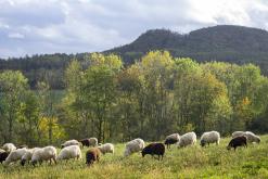 Třebenice a okolí - 13.10.2024