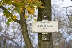 Třebenice a okolí - 13.10.2024