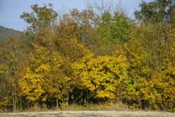 Třebenice a okolí - 20.10.2024