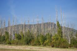 Třebenice a okolí - 20.10.2024